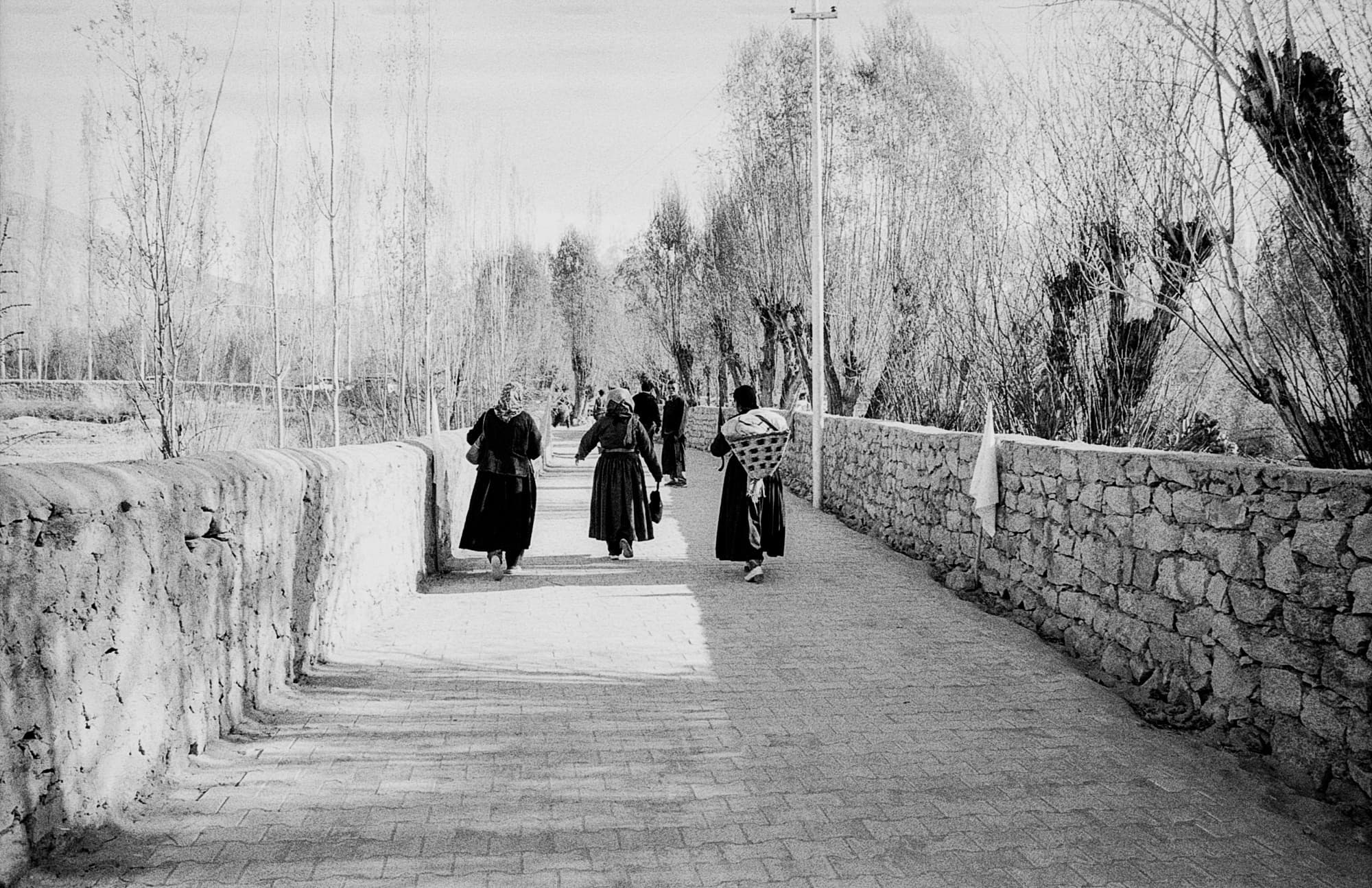 A group of women walking away down a paved path between stone walls lined with bare trees