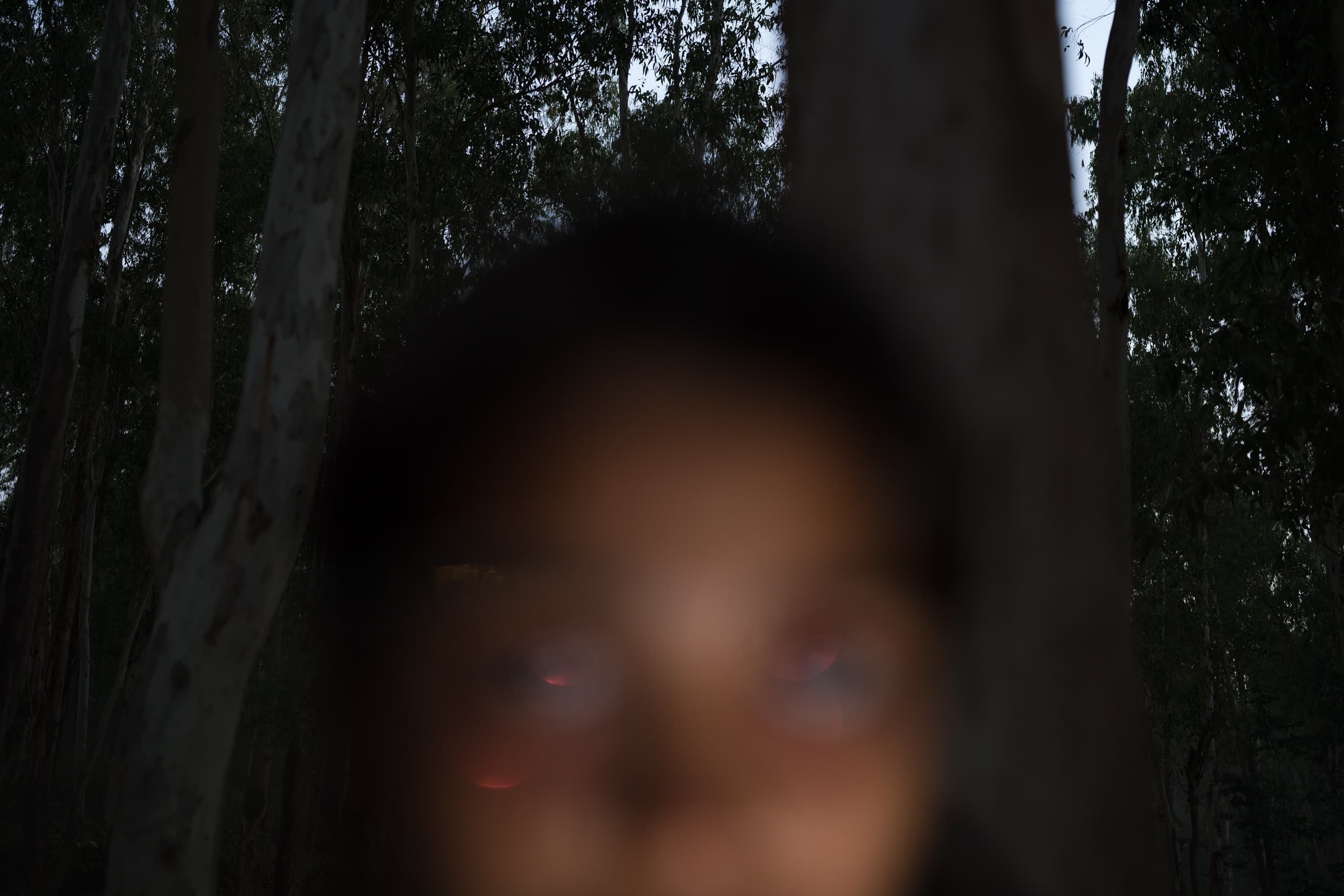 TODO(content): describe this photograph