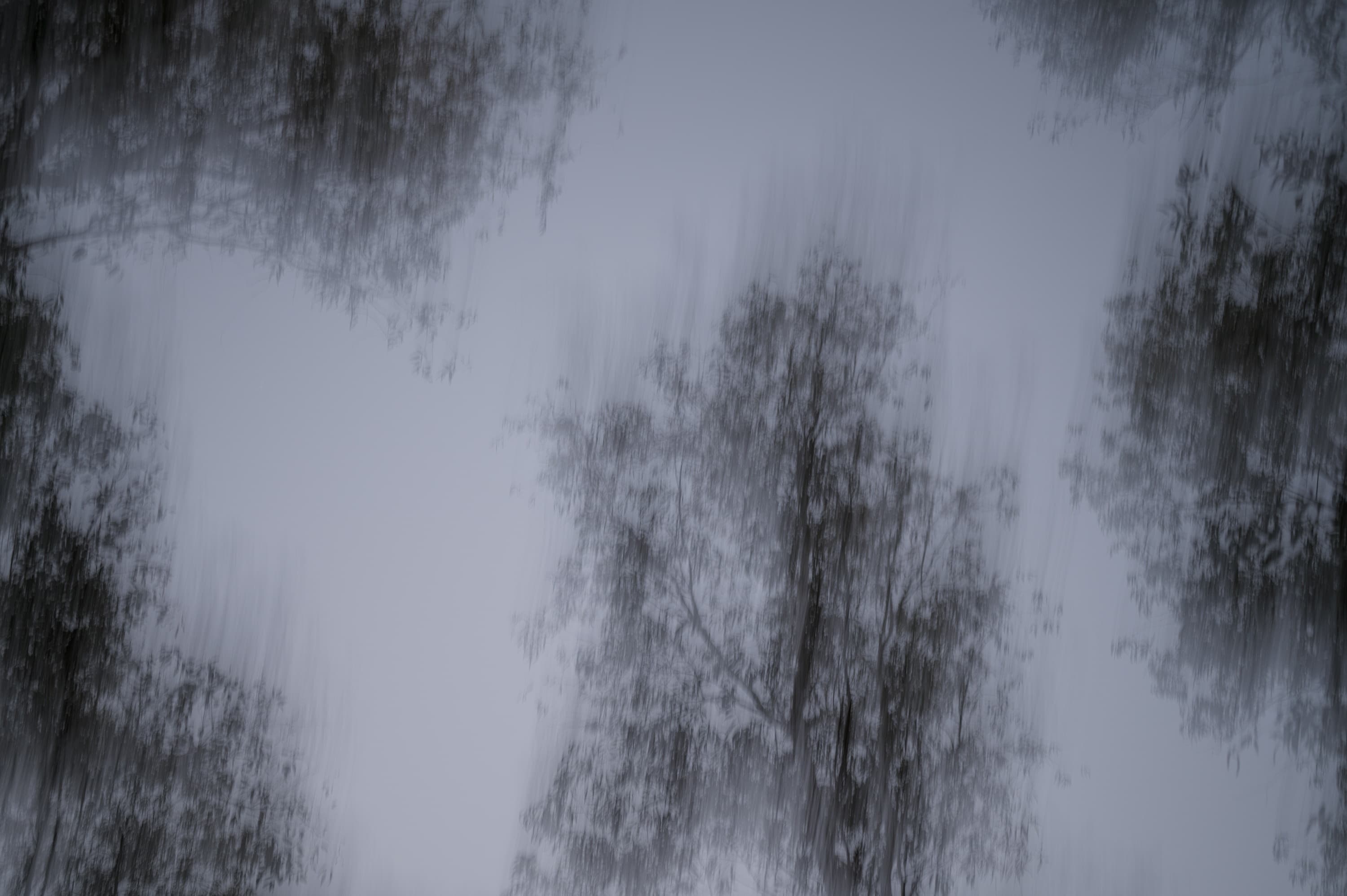 TODO(content): describe this photograph