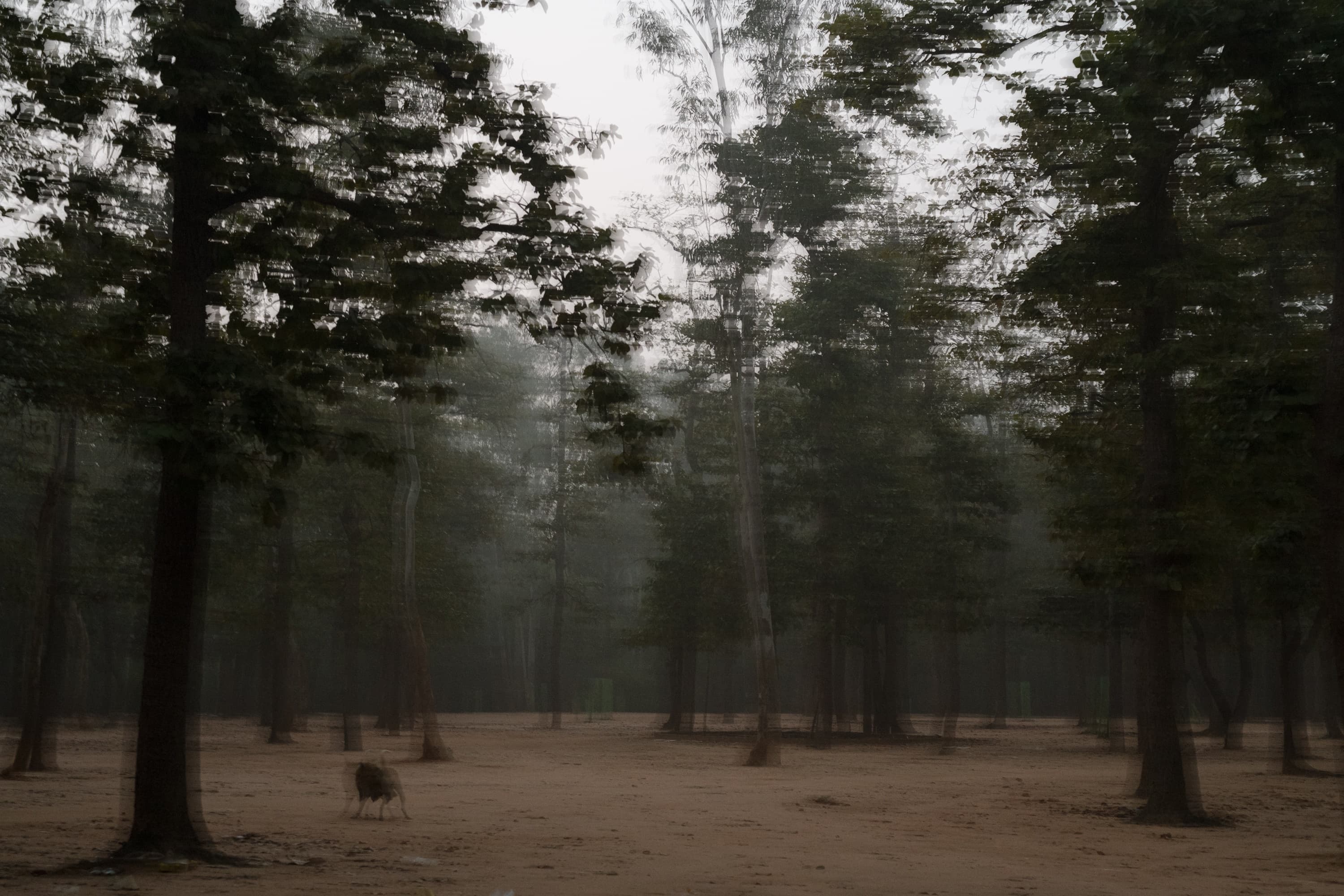 TODO(content): describe this photograph